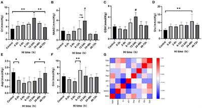 Self-Regulation of Cerebral Metabolism and Its Neuroprotective Effect After Hypoxic-Ischemic Injury: Evidence From 1H-MRS